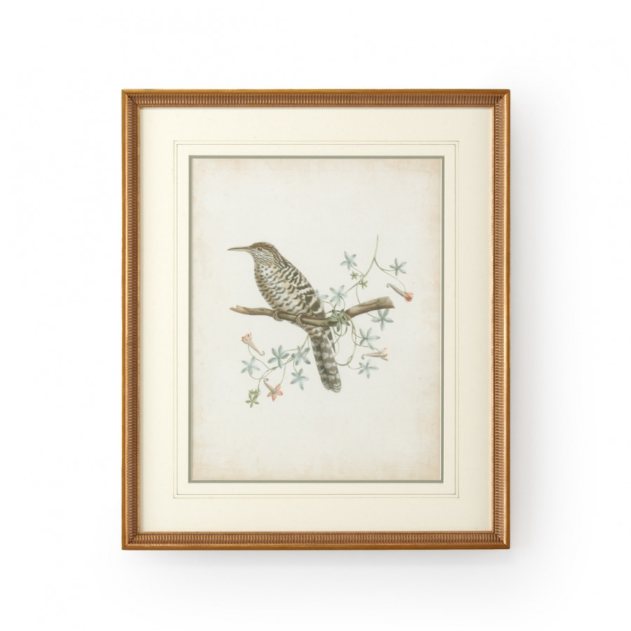 Chelsea House - Delicate Birds IV with French Lines in Gold Frame