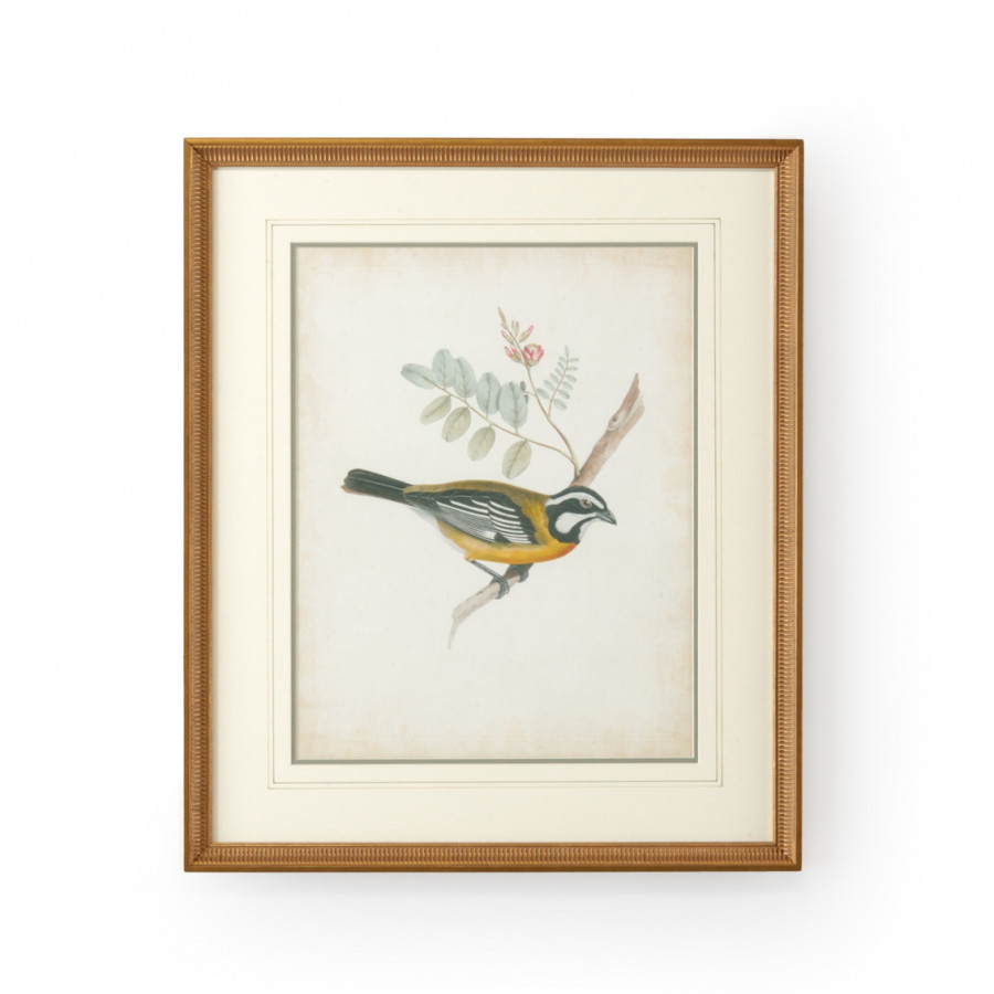 Chelsea House - Delicate Birds V with French Lines in Gold Frame