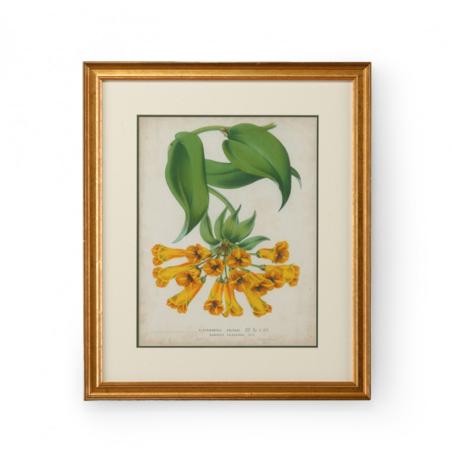 Chelsea House - Tropical Array II with Double Mat in Gold Frame