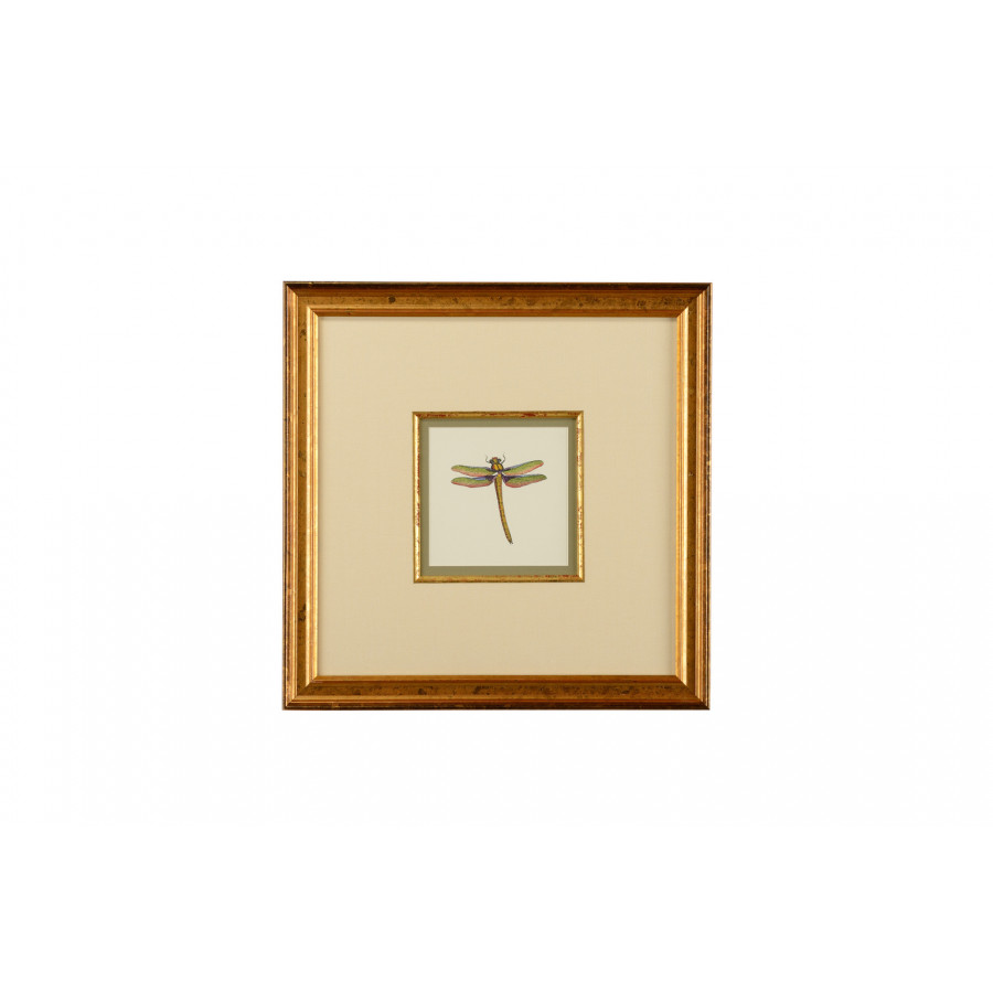 Chelsea House - Miniature Dragonfly I with Linen Double Mat in Gold Fillet