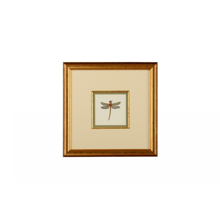 Chelsea House - Miniature Dragonfly II with Linen Double Mat in Gold Fillet