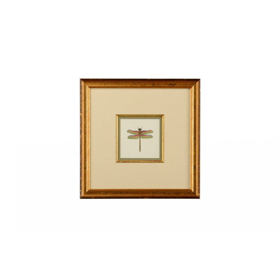 Chelsea House - Miniature Dragonfly III with Linen Double Mat in Gold Fillet