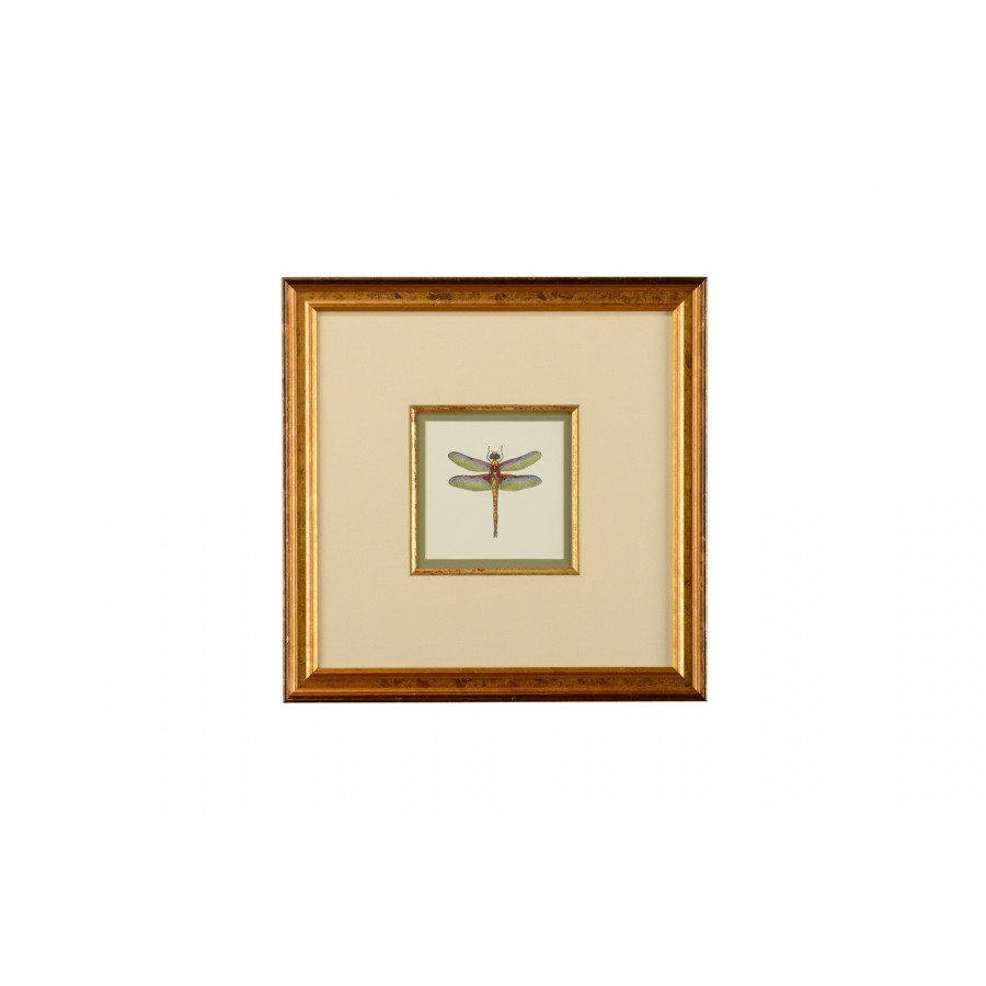 Chelsea House - Miniature Dragonfly IV with Linen Double Mat in Gold Fillet