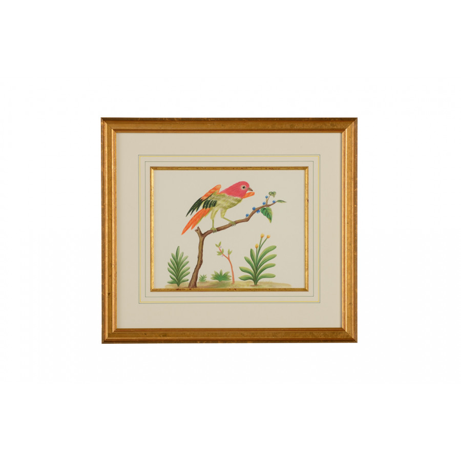 Chelsea House - Multicolor Bird in Gold Frame