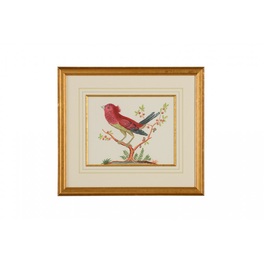Chelsea House - Pink Bird/Black Tail in Gold Frame