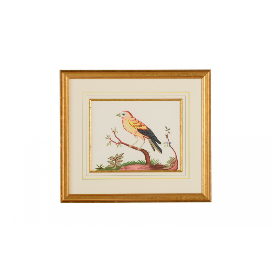 Chelsea House - Yellow Wing/Rd Berry in Gold Frame