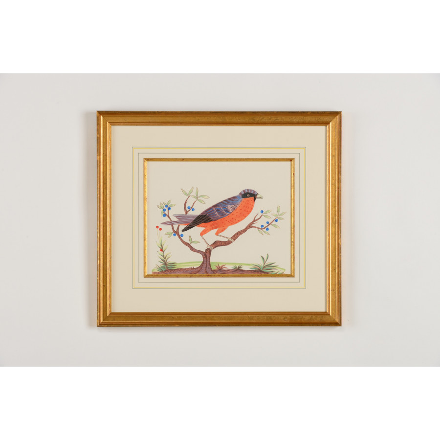 Chelsea House - Orange Breast in Gold Frame