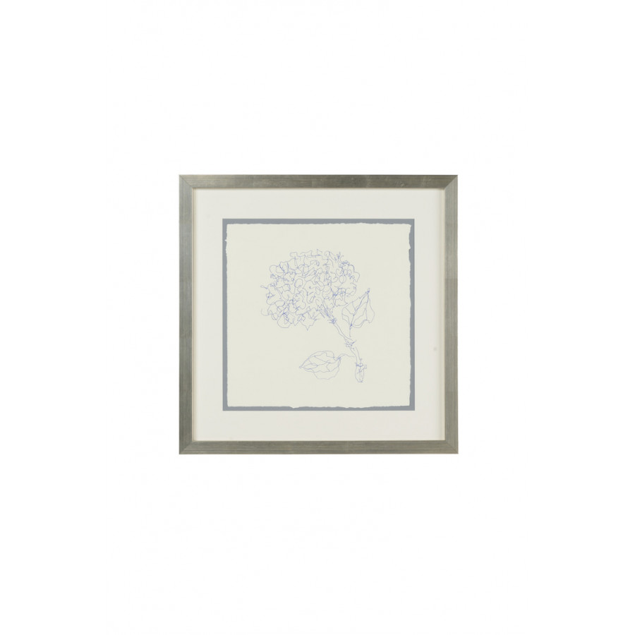 Chelsea House - Pen And Ink Floral Hydrangea