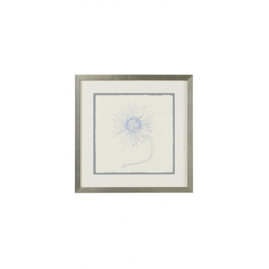 Chelsea House - Pen And Ink Floral-Sun Flower