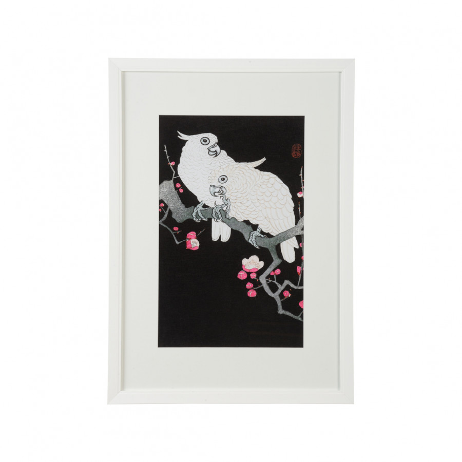 Chelsea House - Cockatoo II in Framed with glass