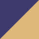 Blue/Gold