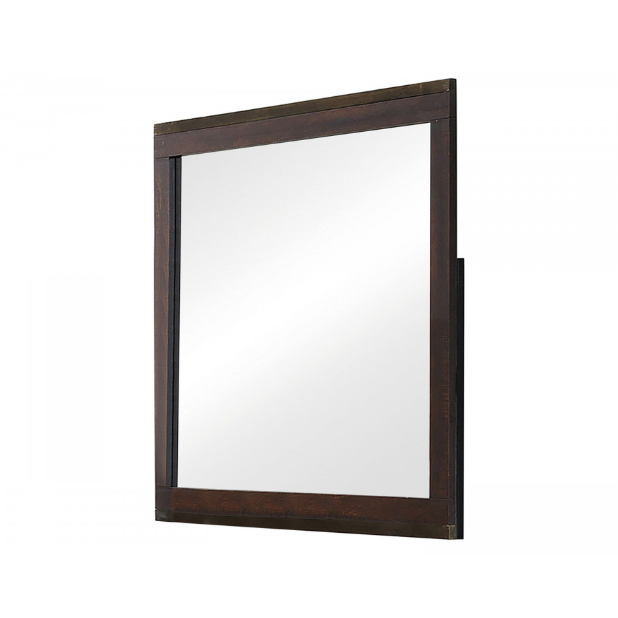 Coaster - Edmonton Mirror in Rustic Tobacco
