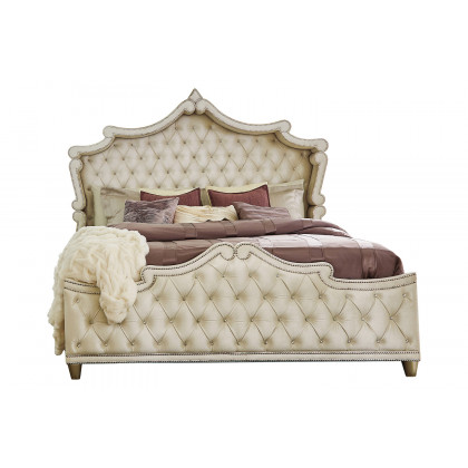Coaster Antonella Upholstered Tufted Queen Bed - Ivory/Camel