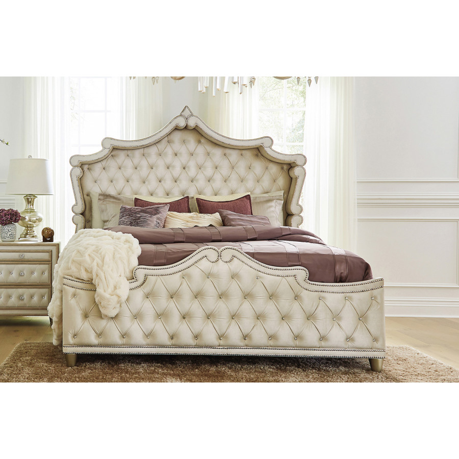 Coaster Antonella Upholstered Tufted Queen Bed - Ivory/Camel