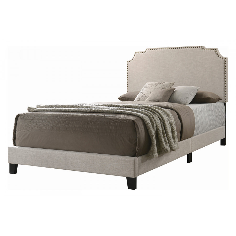 Coaster Tamarac Upholstered Nailhead Queen Bed - Beige