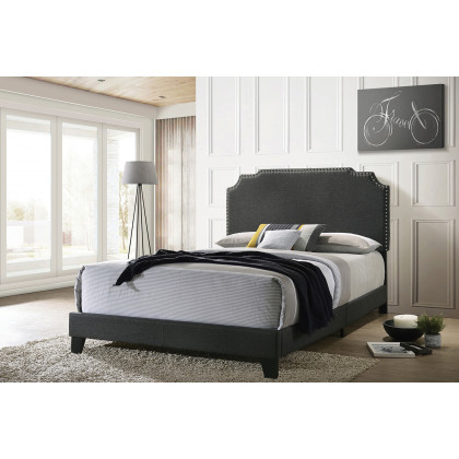 Coaster Tamarac Upholstered Nailhead Queen Bed - Gray