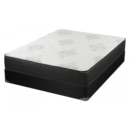 Coaster - Freya 11.5" Full Mattress