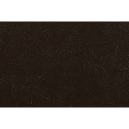Coaster - Monika Upholstered Stationary Sofa in Chocolate