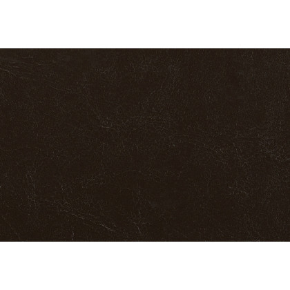 Coaster - Monika Upholstered Stationary Loveseat in Chocolate