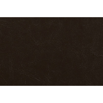 Coaster - Monika Upholstered Stationary Chair in Chocolate