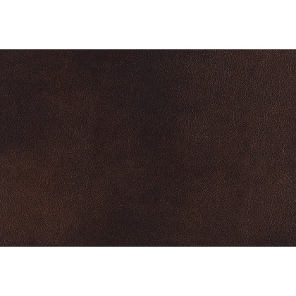 Coaster Korbach Upholstered Power Loveseat - Espresso