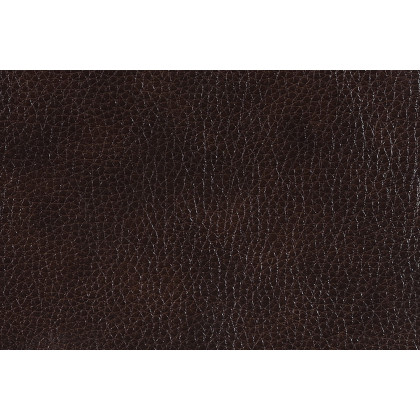 Coaster Longport Upholstered Power Sofa - Dark Brown