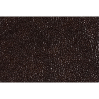 Coaster Longport Upholstered Power Loveseat with Console - Dark Brown