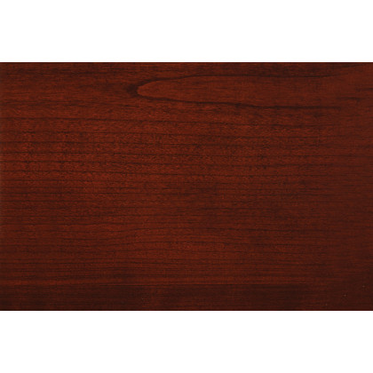 Coaster - Newton 2-Piece Writing Desk Set