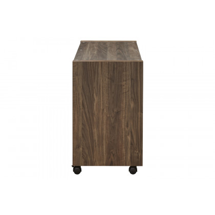 Coaster - Luetta Rectangular Mobile Return With Casters in Aged Walnut