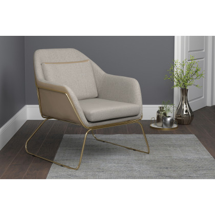 Coaster Metal Sled Leg Accent Chair - Beige