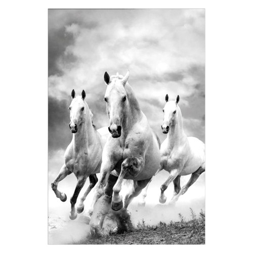 Creative - Wall Art A-1000 S-006