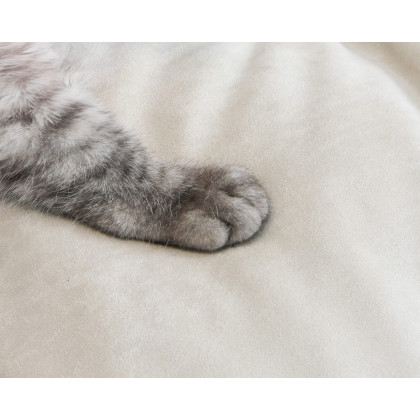 Crenus Soffice Microfiber Suede Pet-friendly Sofa - Pink