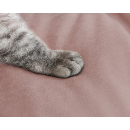 Crenus Soffice Microfiber Suede Pet-friendly Sofa - Pink