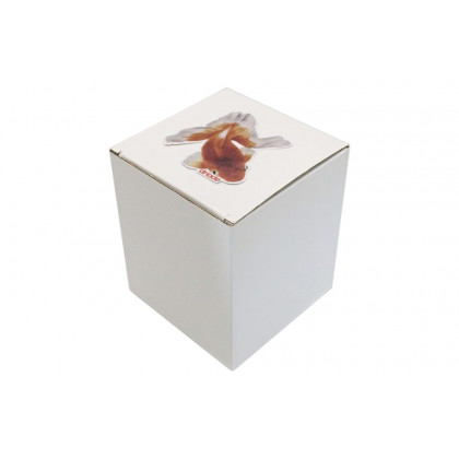 Driade The White Snow Kingyo Coffee Set - White/Orange