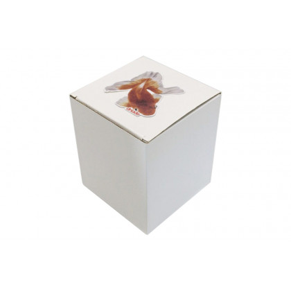 Driade The White Snow Kingyo Tea Set - Bianco/Nero