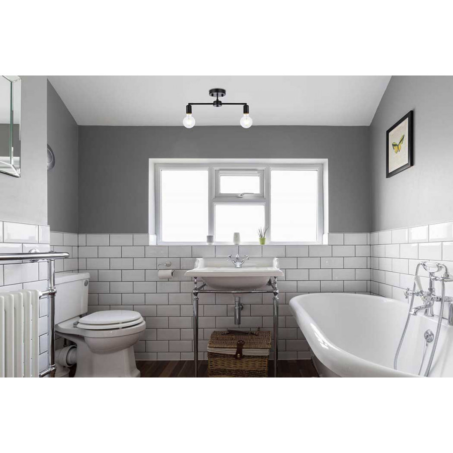 Elegant Zane 2 Lights Flush Mount - Black (LD2348BK)