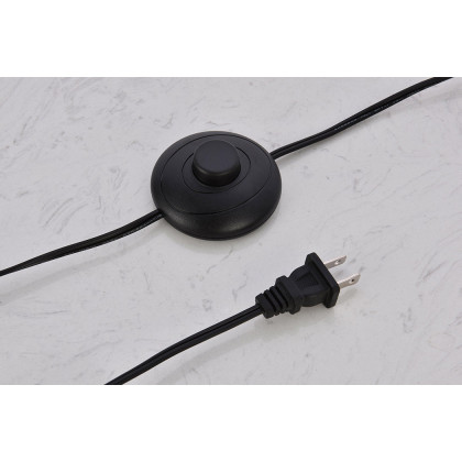 Elegant Juniper 1 Light Floor Lamp - Black (LD2365BK)