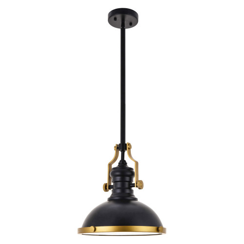 Elegant Eamon 1-Light Pendant - Brass/Black (LD5001D13BRB)