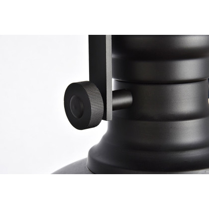 Elegant Eamon 1-Light Pendant - Oil Rubbed Bronze (LD5001D13ORB)