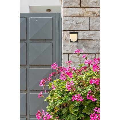 Elegant Raine Integrated Led Wall Sconce - Black (LDOD4009BK)