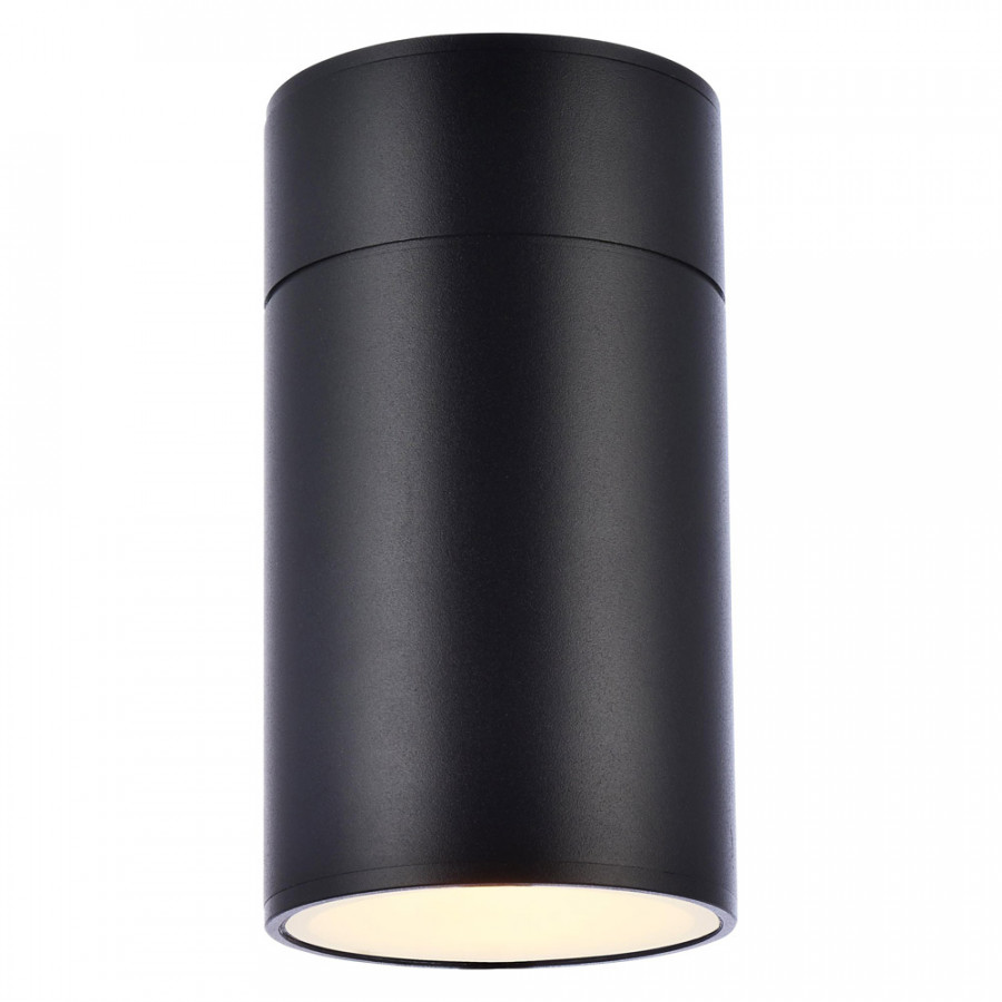 Elegant - LED Outdoor Wall Light (PNT-LDOD4039)