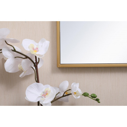 Elegant Wall Mirror - Brass, L 28" (MR41828BR)