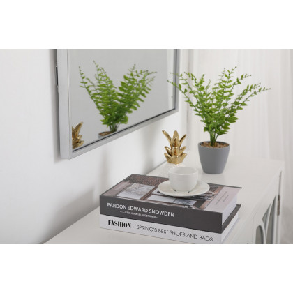 Elegant Wall Mirror - Silver, L 36" (MR42736S)