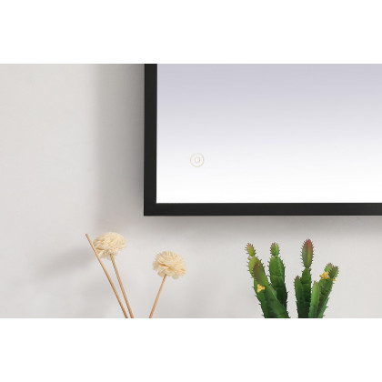 Elegant Wall Mirror - Black, D 24", H 40" (MRE62440BK)