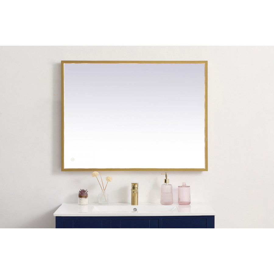 Elegant Wall Mirror - Brass, D 27", H 36" (MRE62736BR)