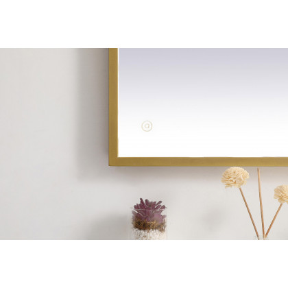 Elegant Wall Mirror - Brass, D 27", H 36" (MRE62736BR)