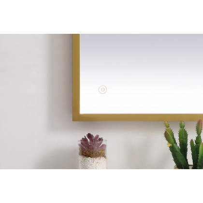 Elegant Wall Mirror - Brass, D 30", H 36" (MRE63036BR)