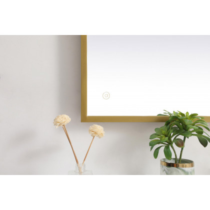 Elegant Wall Mirror - Brass, D 30", H 40" (MRE63040BR)