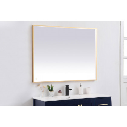 Elegant Wall Mirror - Brass, D 48", H 36" (MRE63648BR)