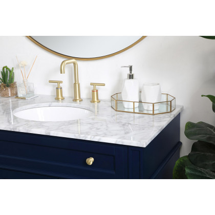 Elegant 42" Single Bathroom Vanity Set - Blue (VF12542BL)